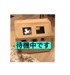 僕、サブローです（個別スタンプ：14）