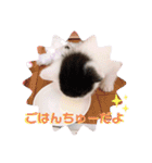 預かり保護猫ちゃん♡（個別スタンプ：18）