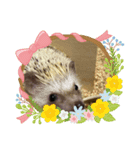 メイちゃんと（個別スタンプ：3）