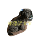 ベアたん（個別スタンプ：2）