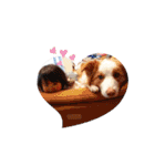 colefamily（個別スタンプ：3）