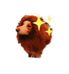 colefamily（個別スタンプ：13）