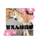 とびまる②（個別スタンプ：4）