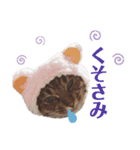 てんとあられ（個別スタンプ：1）
