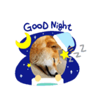 のんきな柴犬スタンプ（個別スタンプ：7）