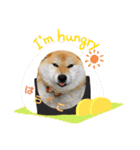 のんきな柴犬スタンプ（個別スタンプ：8）