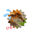 のんきな柴犬スタンプ（個別スタンプ：13）