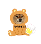 のんきな柴犬スタンプ（個別スタンプ：15）