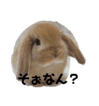 ちょこちゃんプチちゃん桑名弁（個別スタンプ：12）