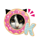 今すぐ使える猫スタンプ2（個別スタンプ：8）