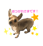 カイとカムイ（個別スタンプ：1）