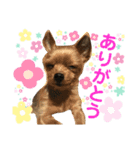 カイとカムイ（個別スタンプ：5）