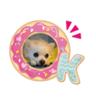 かわいいクッキーちゃん（個別スタンプ：1）