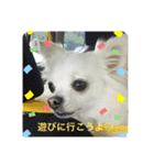 かわいいクッキーちゃん（個別スタンプ：3）