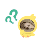 かわいいクッキーちゃん（個別スタンプ：15）