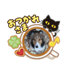 new アムテラスタンプ（個別スタンプ：3）
