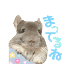 チンチラのむぅちゃん（個別スタンプ：22）
