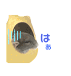 チンチラのむぅちゃん（個別スタンプ：28）