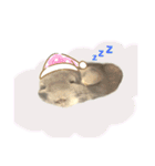 チンチラのむぅちゃん（個別スタンプ：40）