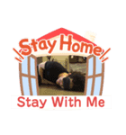 ❷ミズノコウイチの日常で使えるスタンプ（個別スタンプ：2）