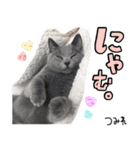 シャルトリューつみれのスタンプ（個別スタンプ：23）