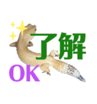 レオパでご挨拶（個別スタンプ：7）