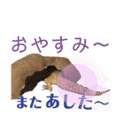 レオパでご挨拶（個別スタンプ：8）