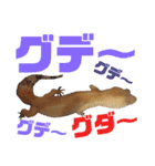 レオパでご挨拶（個別スタンプ：13）