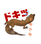 レオパでご挨拶（個別スタンプ：19）