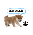 ワンビーンズ（個別スタンプ：8）