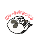 ニャン語録（個別スタンプ：1）