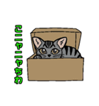 ニャン語録（個別スタンプ：2）