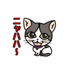 ニャン語録（個別スタンプ：3）