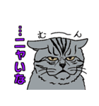 ニャン語録（個別スタンプ：7）