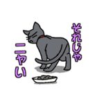 ニャン語録（個別スタンプ：12）