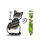 ニャン語録（個別スタンプ：15）