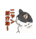 ニャン語録（個別スタンプ：17）