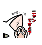 ニャン語録（個別スタンプ：19）
