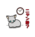 ニャン語録（個別スタンプ：23）