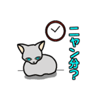 ニャン語録（個別スタンプ：24）