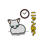 ニャン語録（個別スタンプ：25）