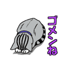 ニャン語録（個別スタンプ：26）