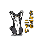 ニャン語録（個別スタンプ：31）