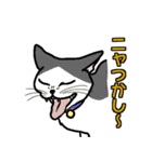 ニャン語録（個別スタンプ：36）
