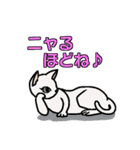 ニャン語録（個別スタンプ：37）