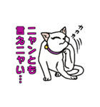 ニャン語録（個別スタンプ：38）