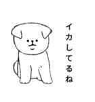モノクロな白犬(誉め言葉ver.)（個別スタンプ：5）