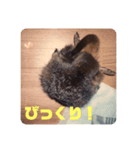 うーちゃんとぴきちゃんとみーこです。（個別スタンプ：8）