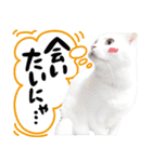 ルルヴィヴィスタンプ（個別スタンプ：8）