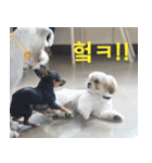 ちびこの可愛い日常（個別スタンプ：5）